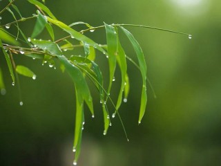 Điều trị nám da mãi không khỏi thường do 5 sai lầm này